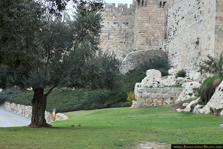 Old City Walls and Gates