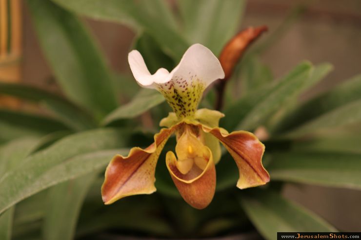 Botanischer Garten
