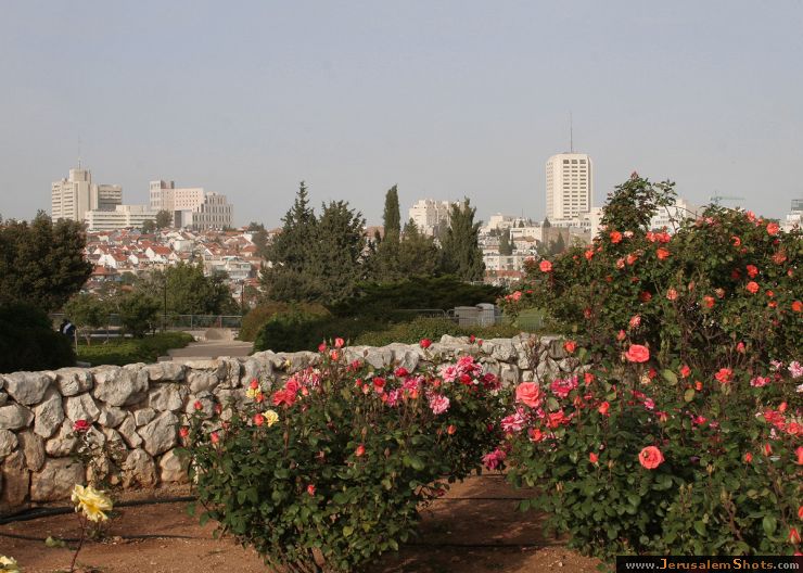 Nachlaot view from the Wohl Rose Park