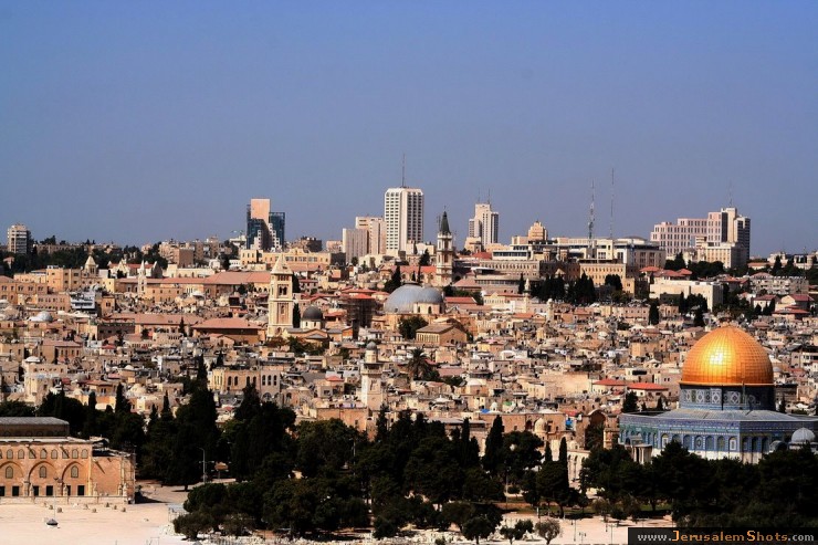 City Landscape