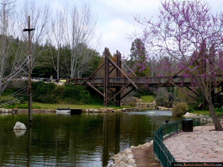 Zoo