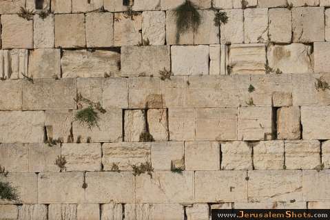 The Kotel