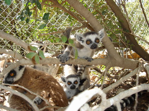 Zoo