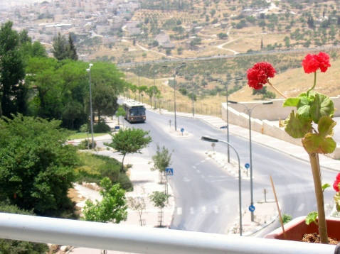 View to Tzur Baher