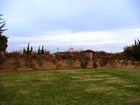 Wohl Rose Park