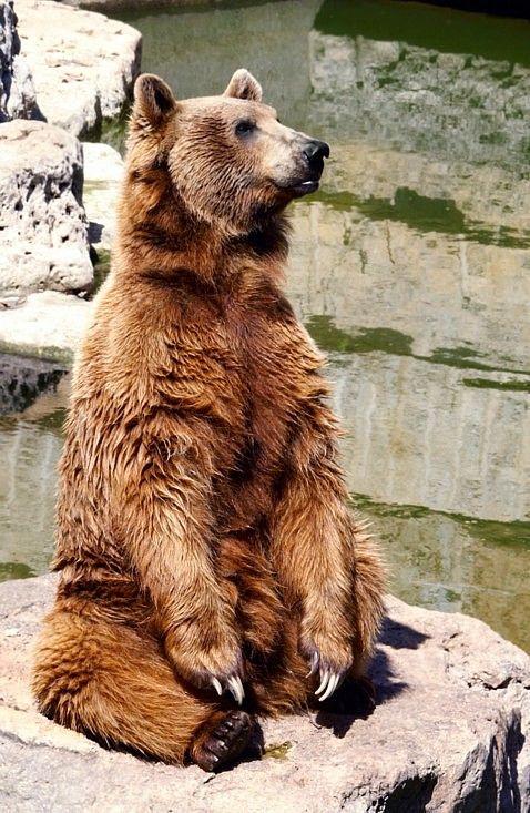 Zoo