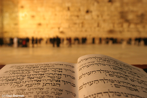 Waiting for a prayer...