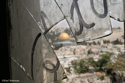 Elad Sherman