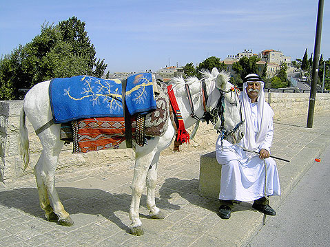 Mount of Olives