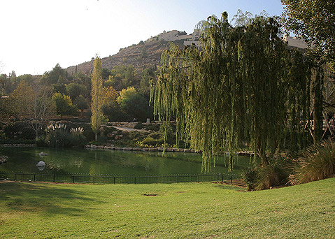 Zoo