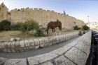 Old City