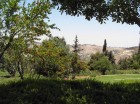 Walking in Talpiot