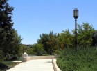 Walking in Talpiot